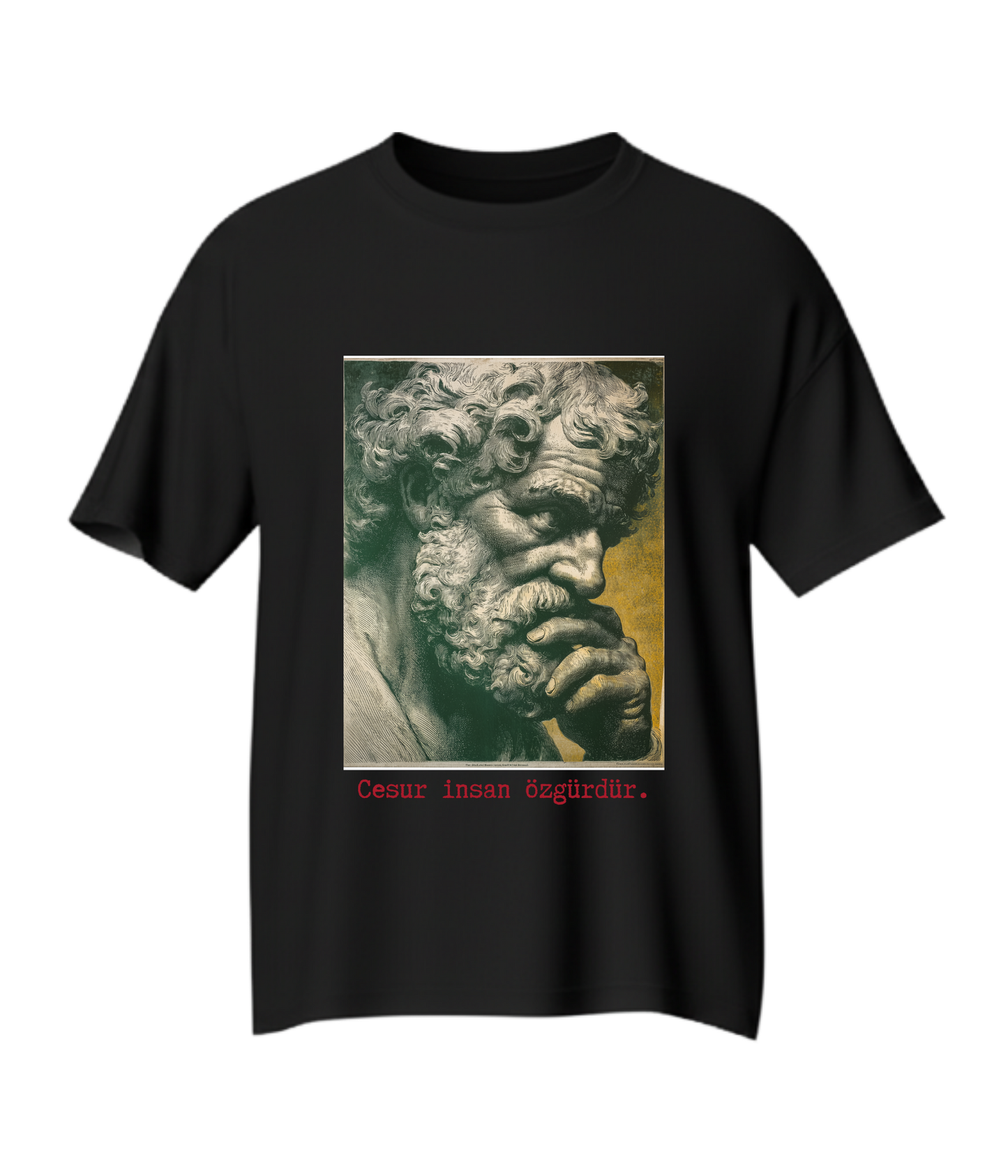 Cesur insan özgürdür - Seneca - 71