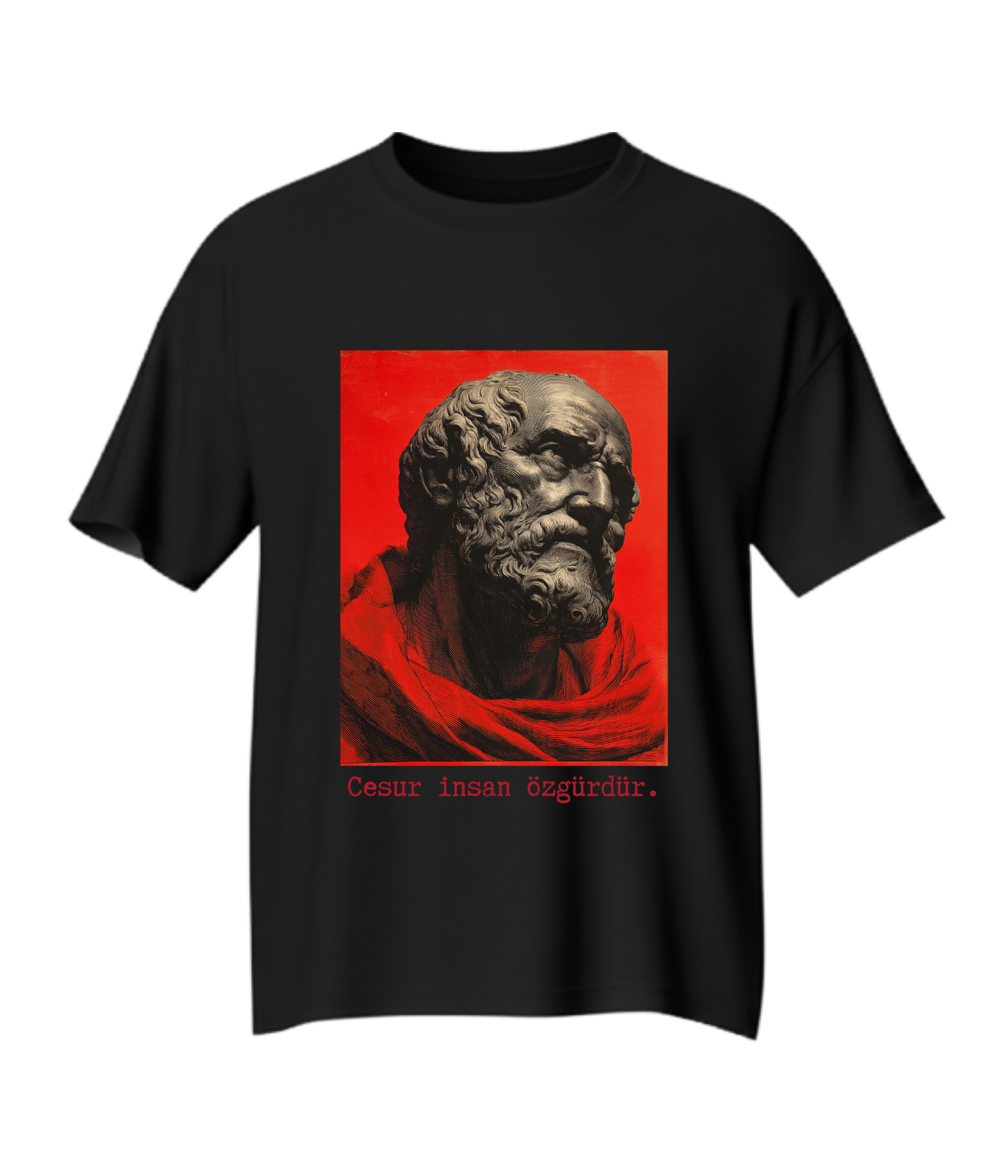 Cesur insan özgürdür - Seneca - 72